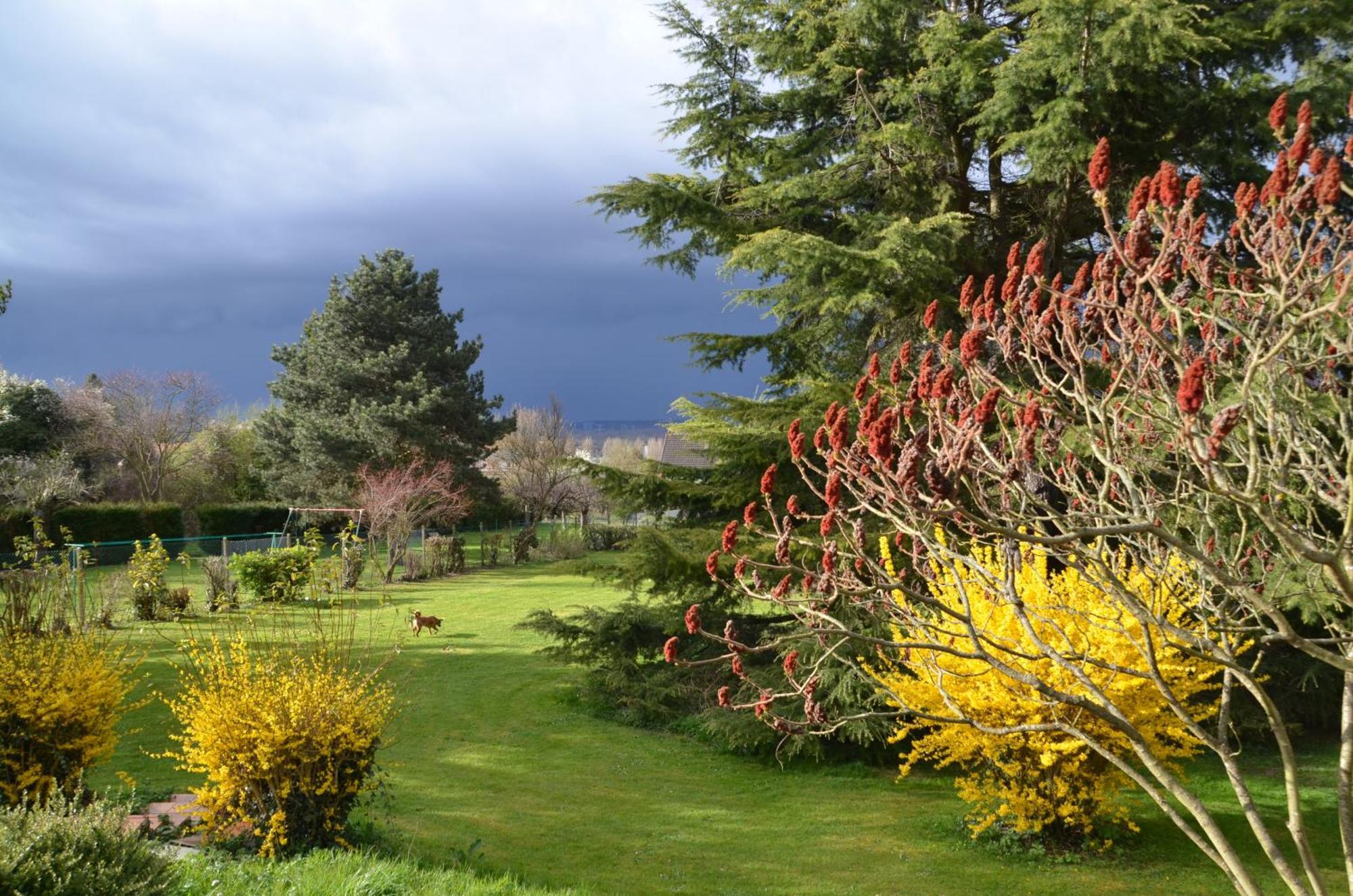 Villa Avec Piscine Proche Disneyland Et Paris Saint-Thibault-des-Vignes Buitenkant foto